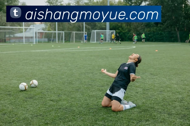 压球首页平台生态图